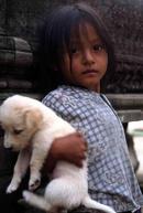 The Khmers Cambodia
